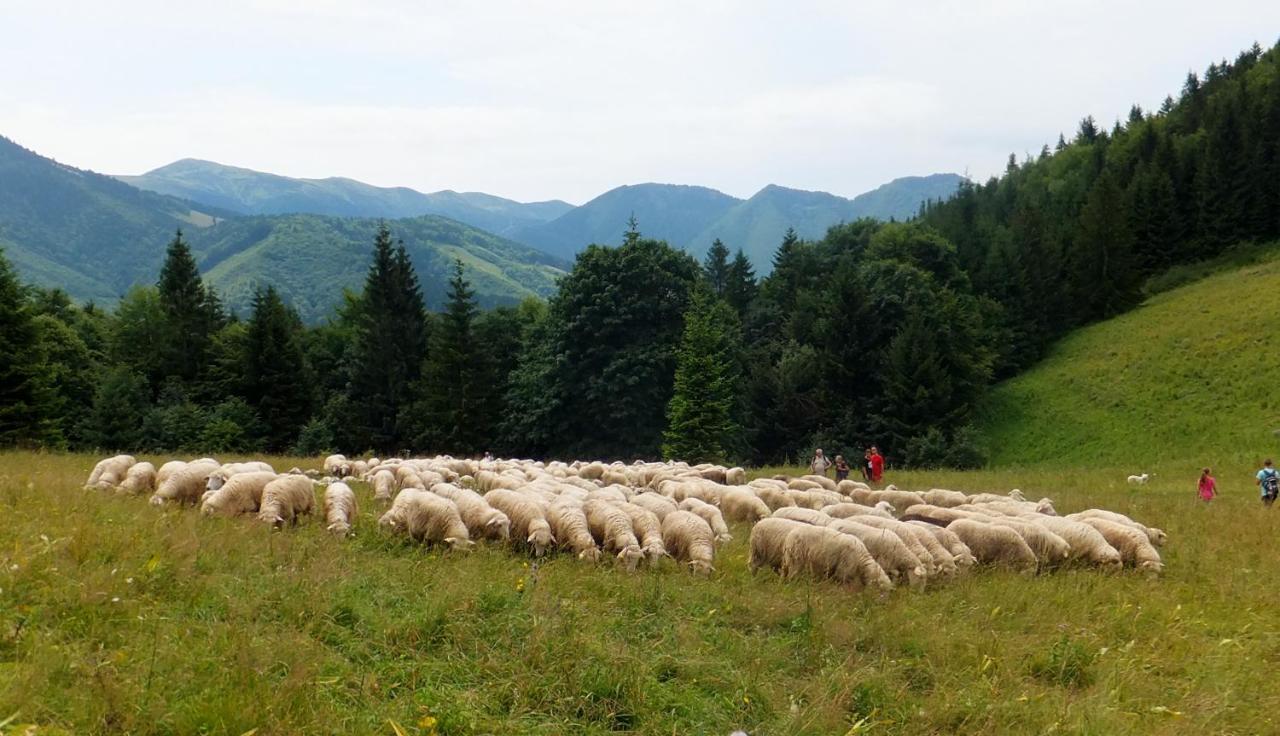Chata Podolina Tierchowa Zewnętrze zdjęcie