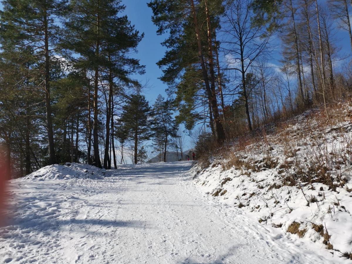 Chata Podolina Tierchowa Zewnętrze zdjęcie